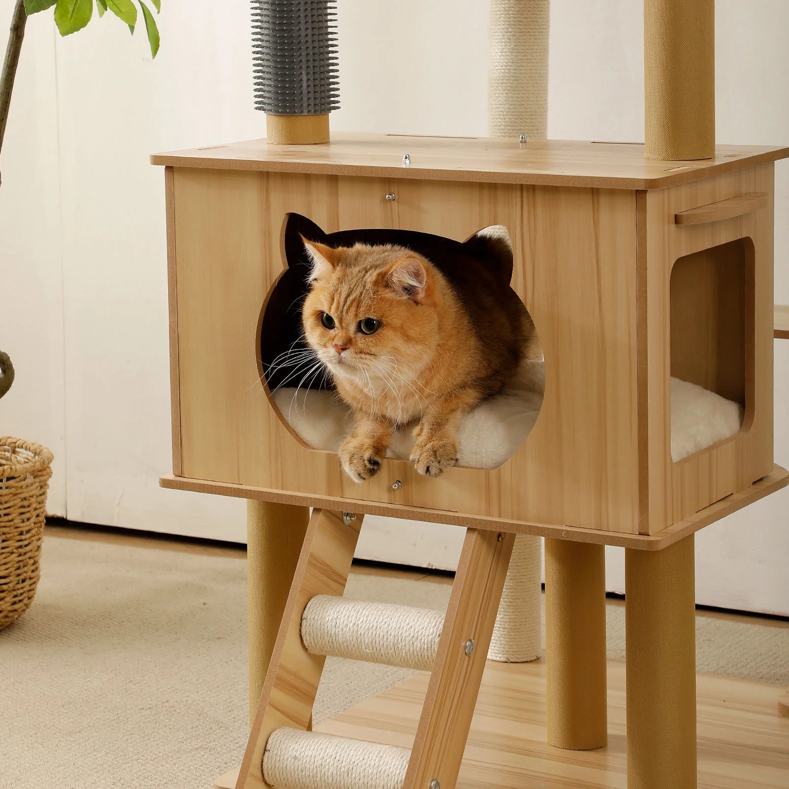 Cat sitting on a LOLOPAWS cat furniture tower with a white wall and plant in the background